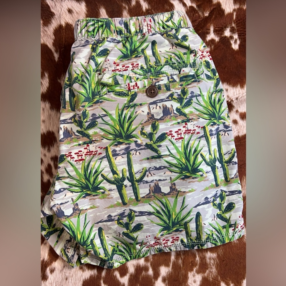 Men’s cactus swimming trunks